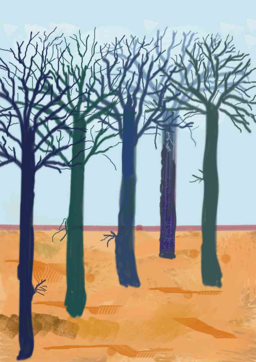 Der blaue Wald (12/2023)