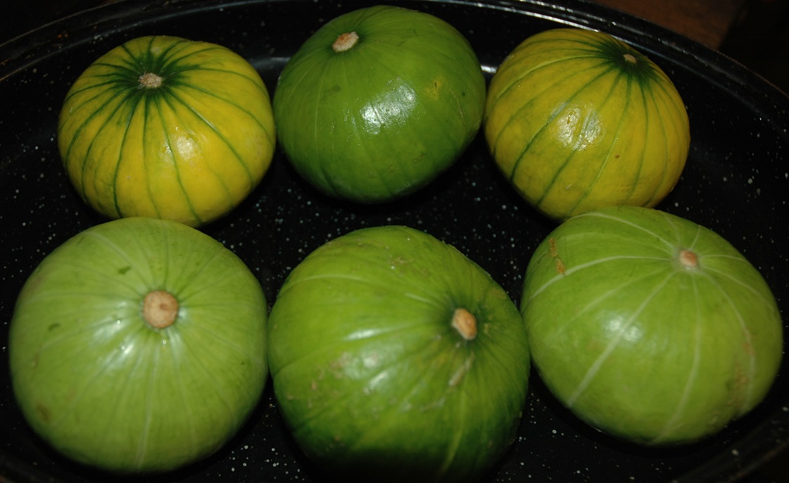 Reife Zucchiolos (roh und ungefllt)